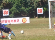 开云体育登录-富力朝冠军大道还任何希望？的简单介绍
