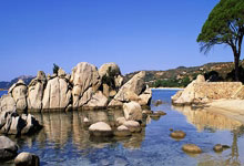 欧洲足坛烽烟再起：群雄逐鹿，高分盛宴燃爆绿茵