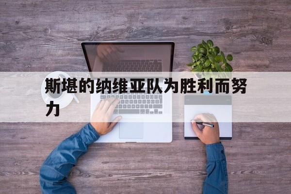 斯堪的纳维亚队为胜利而努力的简单介绍