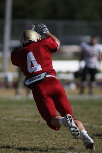 开云在线入口-五大联赛最具统治力的球队如何打造，五大联赛良心球队